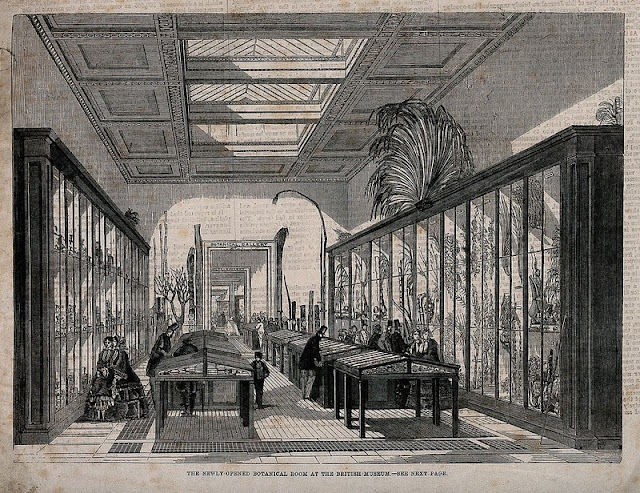 Ботанический зал Британского музея (1858 год)