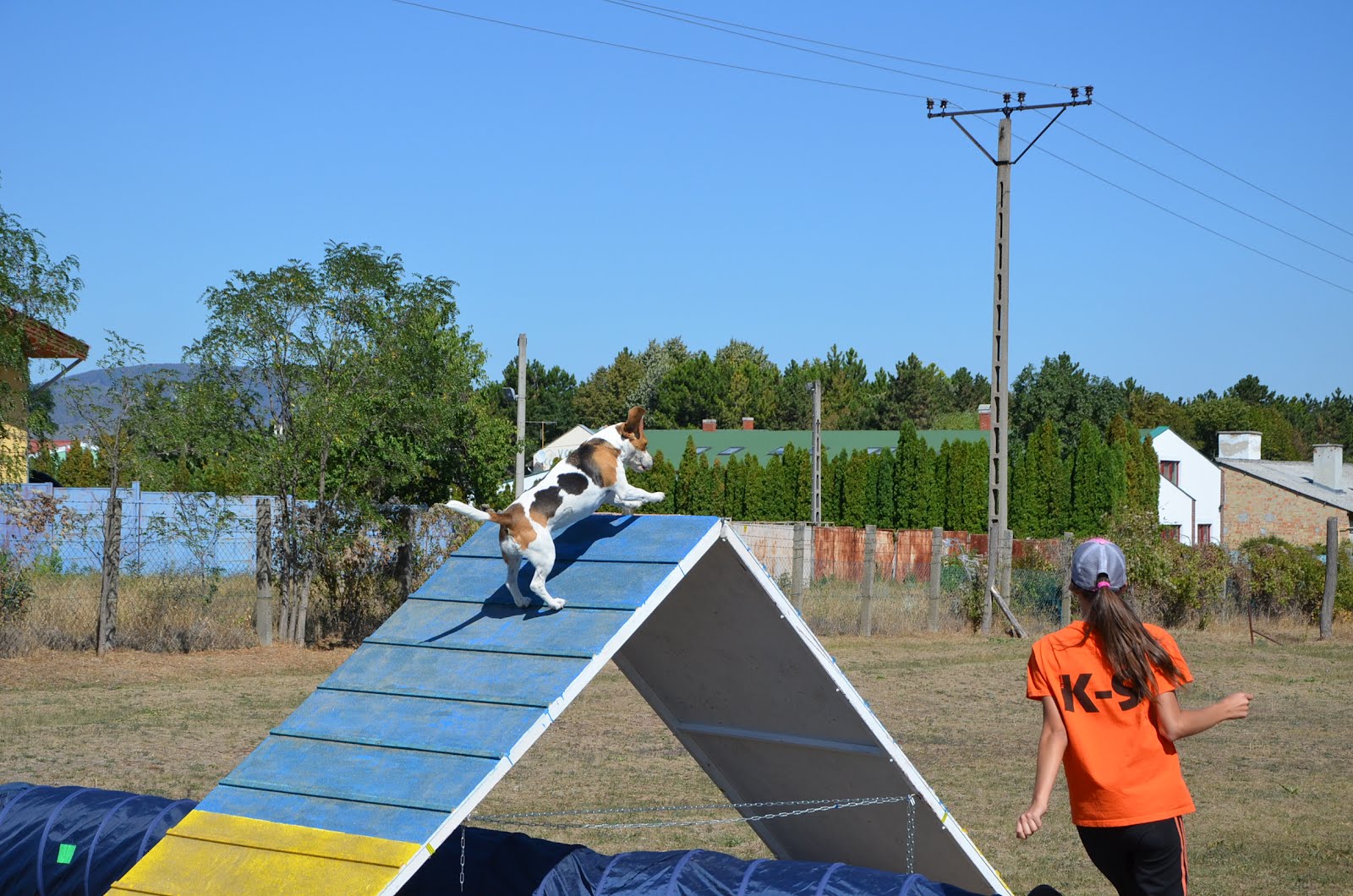 DSC_0342.JPG