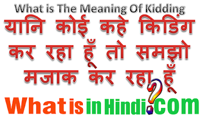 What is the meaning of Kidding in Hindi