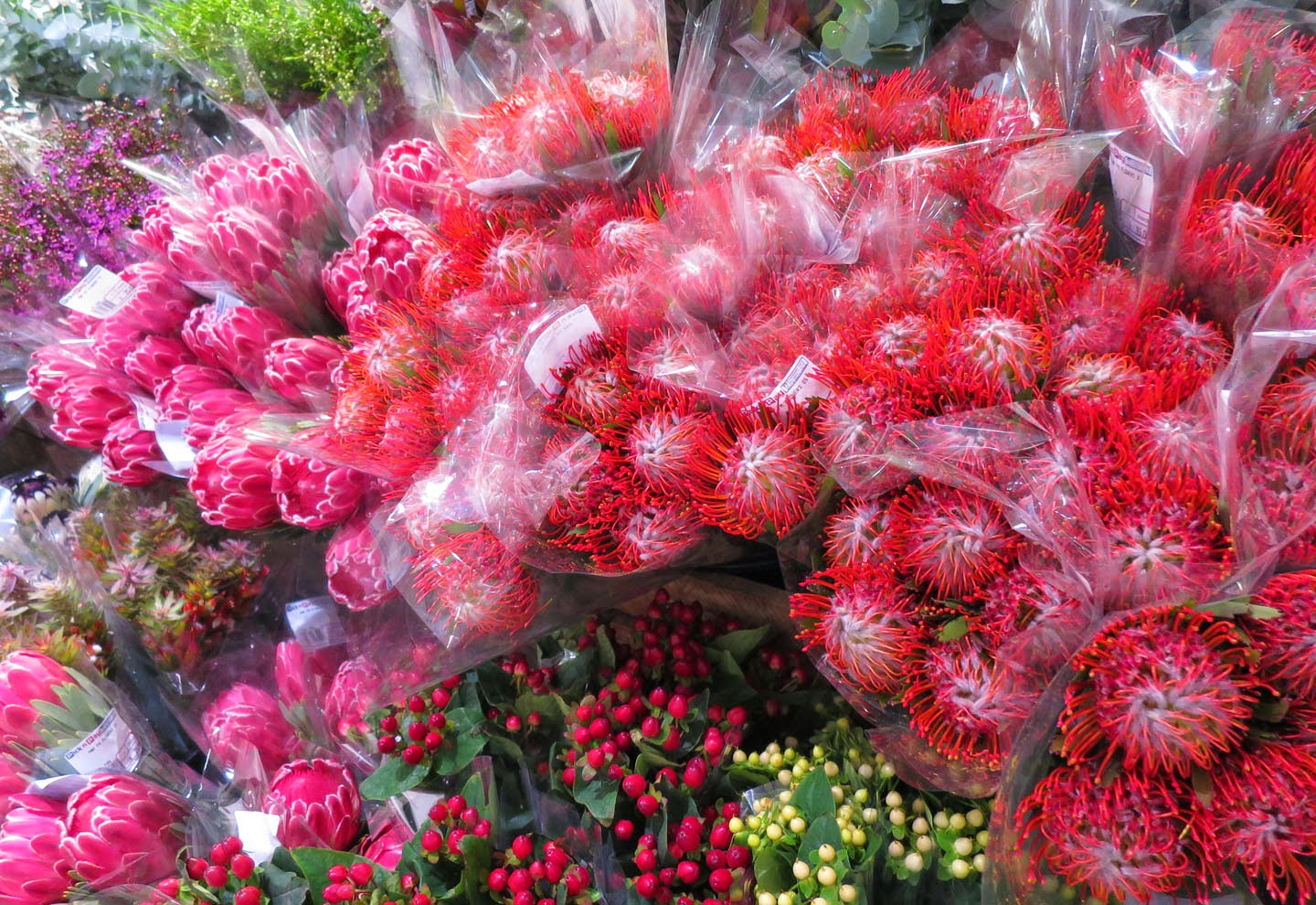 66 Square Feet (Plus) Supermarket flowers