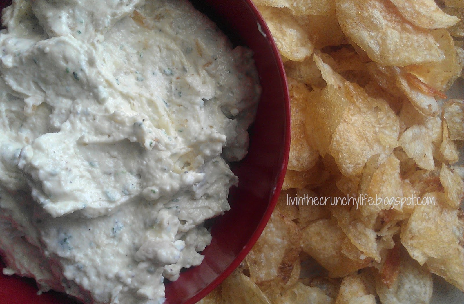 Homemade French Onion Dip, Copycat Heluva Good (with Dairy Free Option