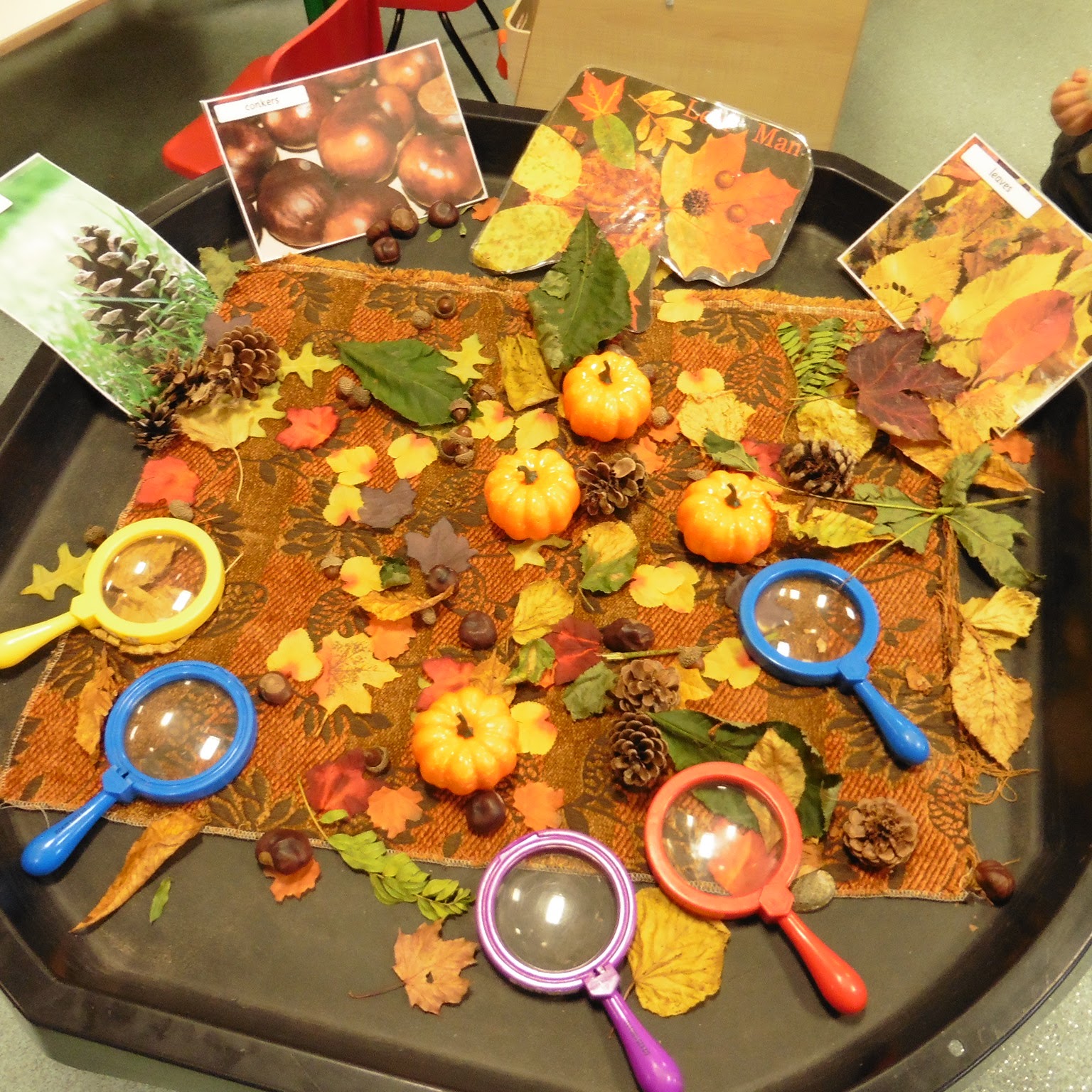 Windhill21: Harvest, Autumn and Playdough Hedgehogs!