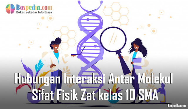 Materi Hubungan Interaksi Antar Molekul dengan Sifat Fisik Zat kelas 10 SMA