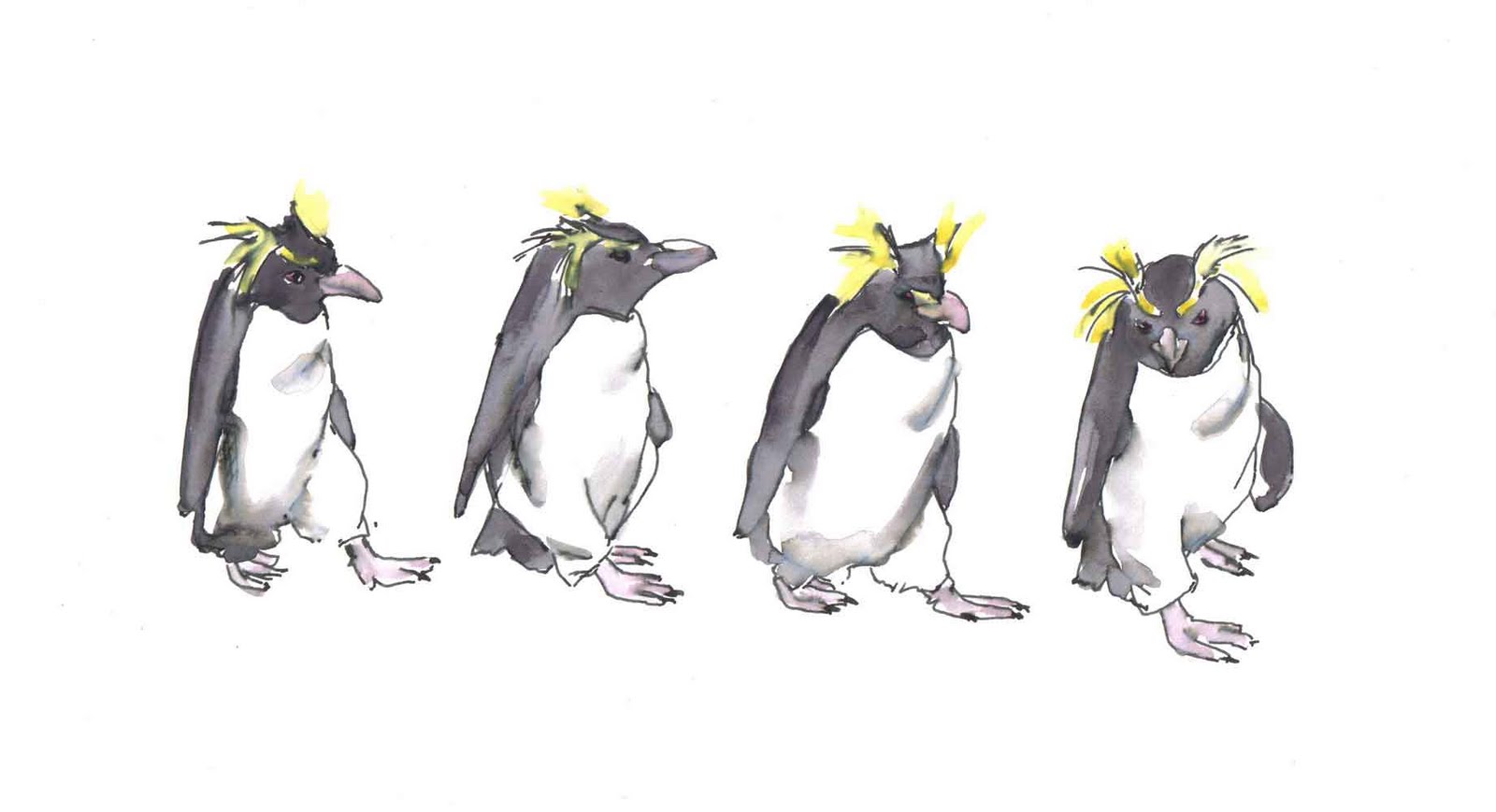 Glasgow Painter: Penguin Walk, Edinburgh Zoo