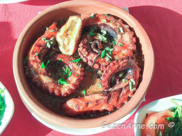 ahtapotları ile ün salmış Söğüt restoranlarından Deniz Kızı, Marmaris