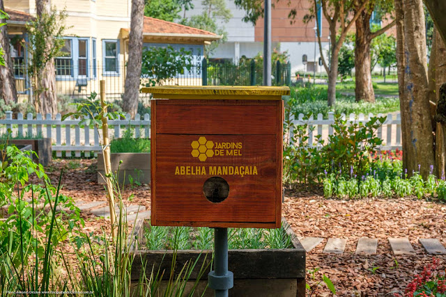 Caixa de abelhas nativas, sem ferrão.