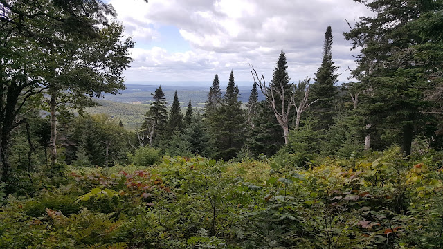 Vue sur le sentier en direction du mont Saint-Magloire