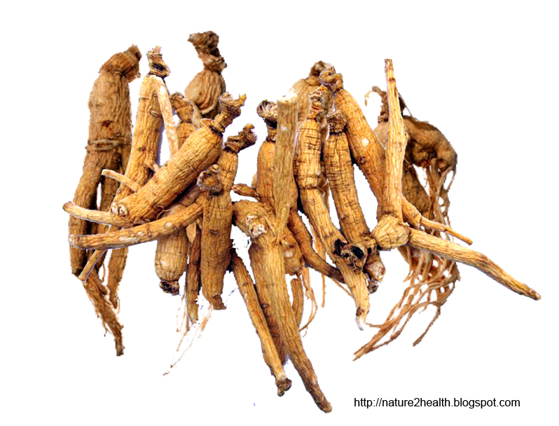 Ginseng The Ancient Panacea Home Remedies Natural Cure Ayurveda