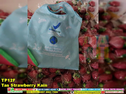 jual Tas Strawberry Kain