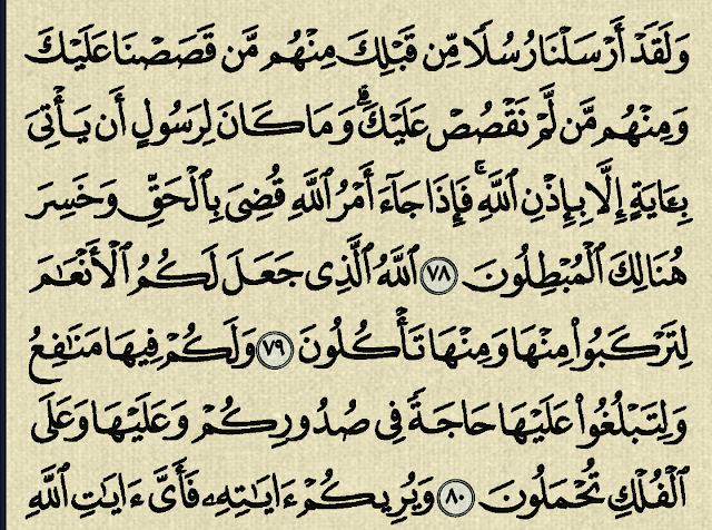 شرح وتفسير سورة غافر surah Ghafir (من الآية 64 إلى الآية 85 )