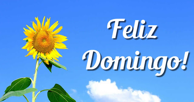 Feliz domingo