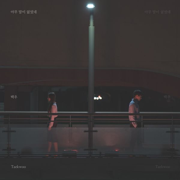 Taekwoo – You didn’t say anything – Single