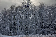 Winter photography 2012