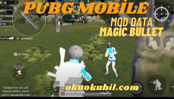 Pubg Mobile 1.3.0 Yeni Mod Data, Magic Bullet + High Damage APK