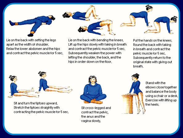 Kegel Exercises Help To Strengthen Your Vaginal Muscles And Can Tone Your Loose Vagina Back To Its Pre Stretched State This Translates To Being Able To Kegel Exercises Help To Strengthen Your Vaginal Muscles And Can Tone Your Loose Vagina Back To Its Pre Stretched State This Translates To Being Able To