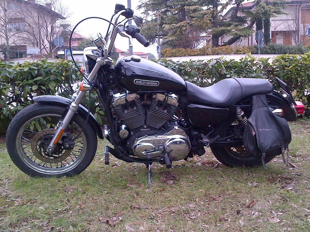 GalluzHead...... Be a Man ride a Pan HD Sportster XL 1200cc Low for sale