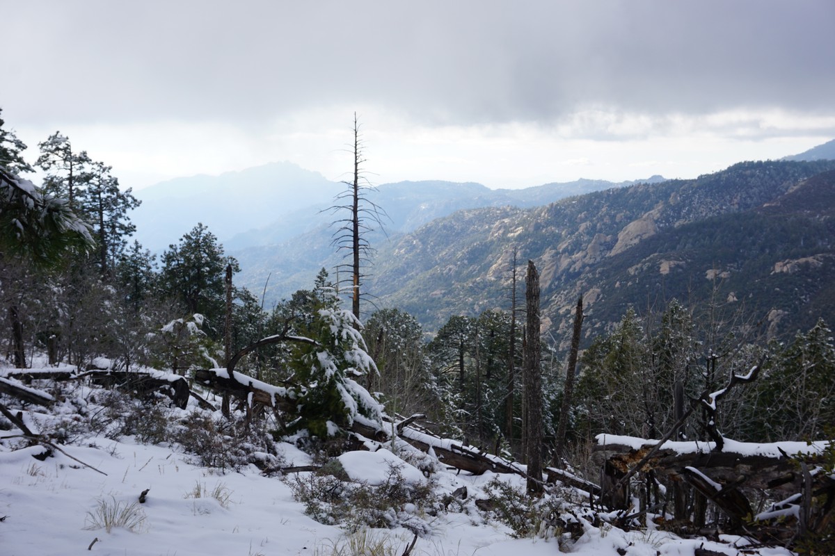 Harriman Hiker Harriman State Park and Beyond Box Springs Trailhead