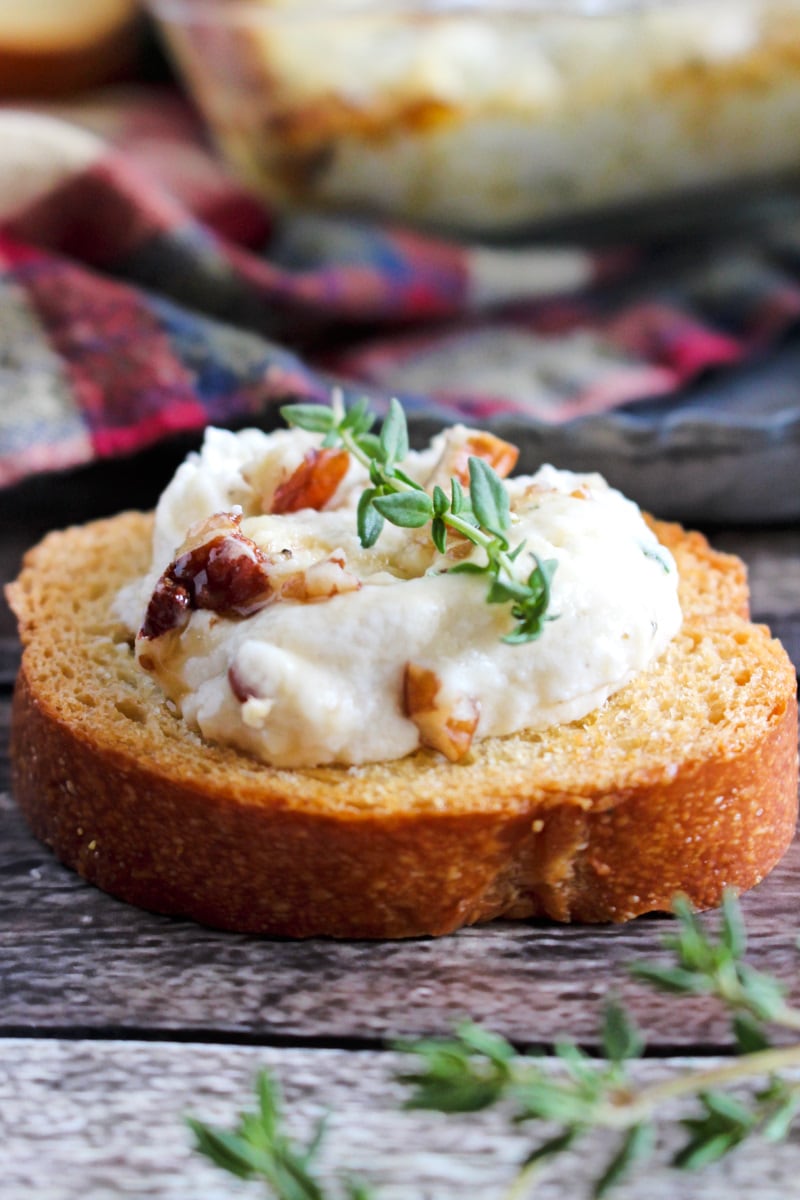 This Baked Goat Cheese Dip made with three kinds of cheese, pecans, honey, and thyme is sure to become your new favorite goat cheese appetizer. It's creamy, cheesy, decadent, and delicious! #goatcheese #appetizer