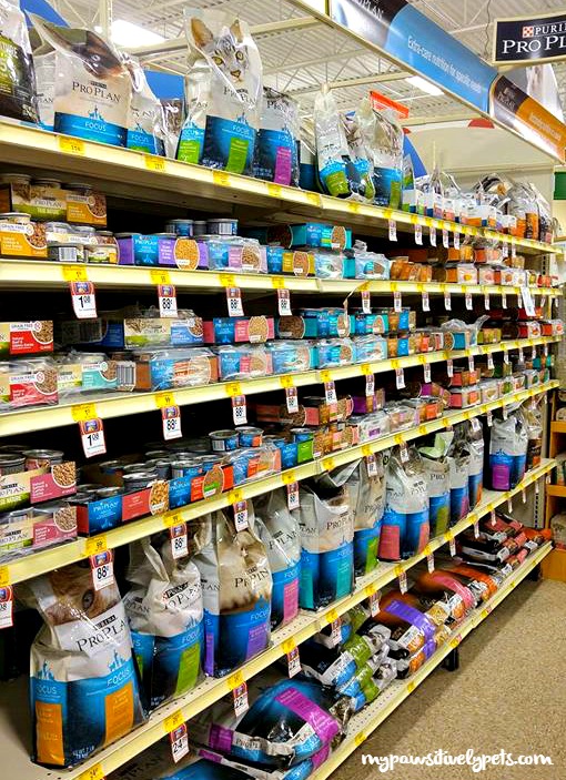 Growing With My Kitten Purinaproplanwetfood Pawsitively Pets