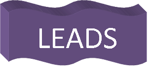 MLM leads