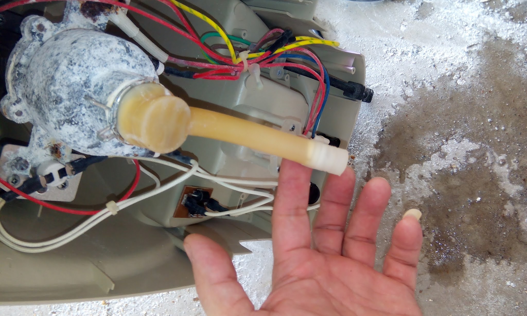 Life Begins at Forty EMPRESS RA0420 garment steamer repair