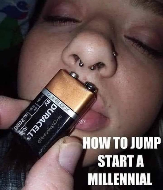 219.jpeg