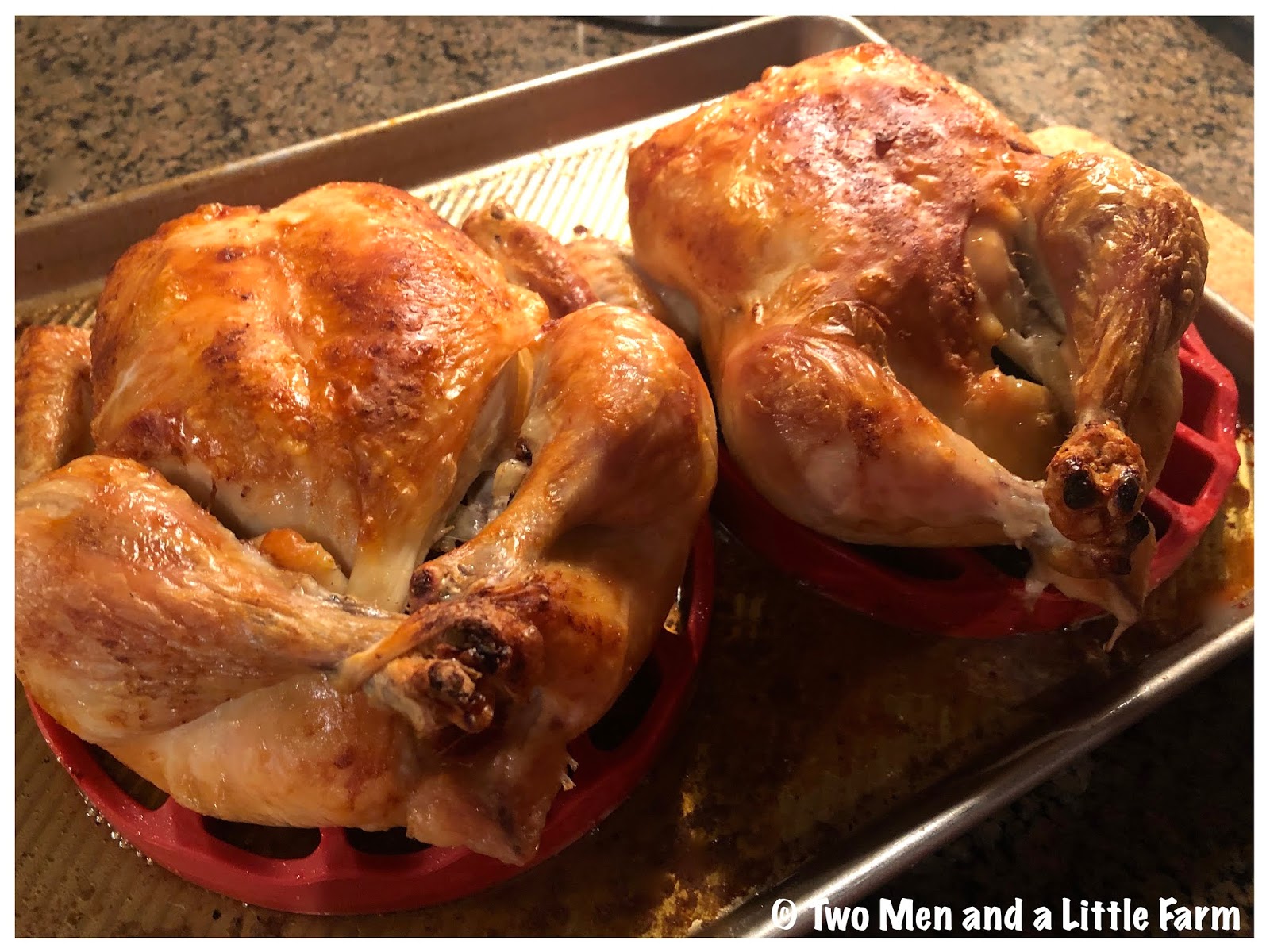 Two Men and a Little Farm WINNER WINNER TWO CHICKEN DINNERS