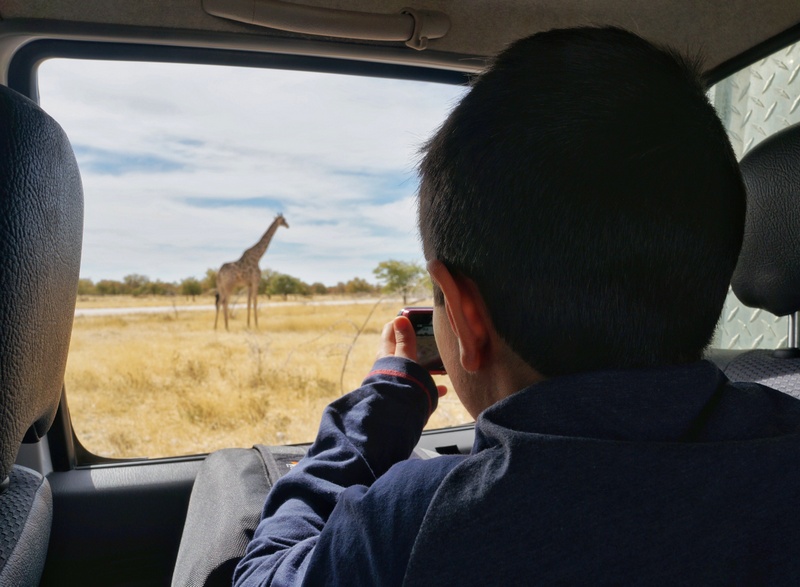 Safari com crianças na África: tudo o que você precisa saber - Felipe ...