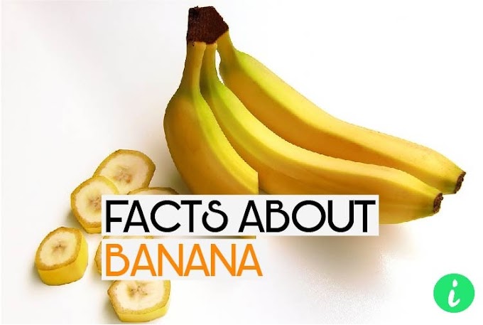Banana Facts: 10 Fascinating Facts About Bananas - InfoHifi