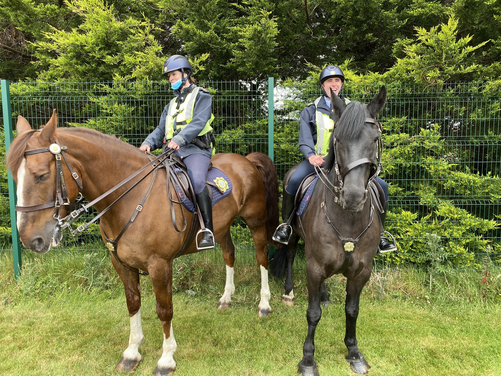 Prefab 3 Superstars! A Visit from the Garda Mounted Unit