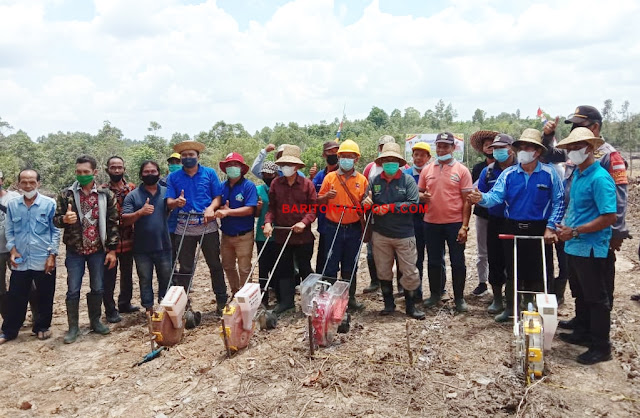 Bupati Bartim Ampera AY Mebas Tanam Perdana Benih Jagung bersama Kelompok Tani Jandrah di Desa Kupang Baru