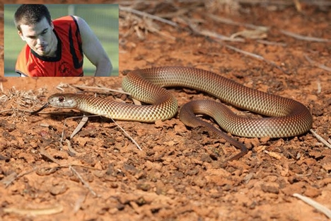 Karl Berry dies of snake bite