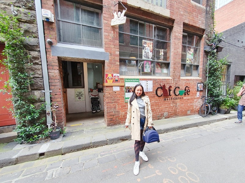 Cat Café Melbourne For Urban Women Awarded Top 100 Urban Blog