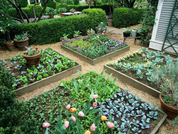 Raised Bed Gardening Designs and ideas