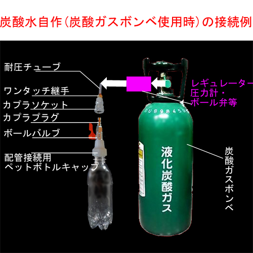 炭酸水メーカー 自作キット用 逆止弁付キャップ10個 炭酸水メーカー 炭酸水メーカー 自作キット用 逆止弁付キャップ10個 炭酸水メーカー