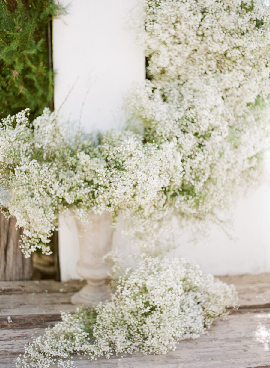 Style File: The Surprising Return of Baby’s Breath