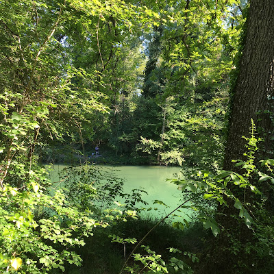 Montagnola senese: sentiero n. 402 nella Riserva Naturale Alto Merse