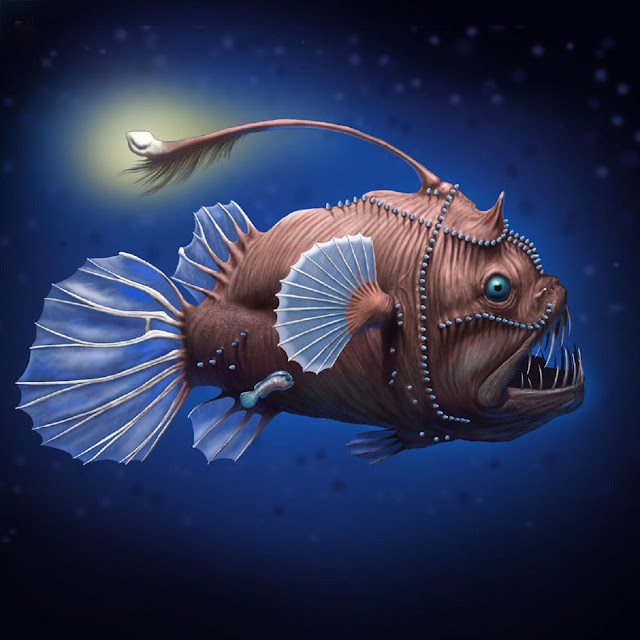 Deep Sea Fish (Melanocetus jonsonii)