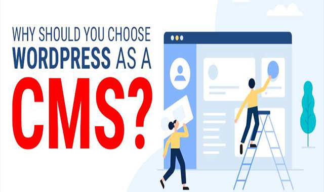 Why Should You Choose WordPress as a CMS #infographic Why Should You Choose WordPress as a CMS #infographic