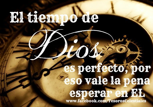 APOCALIPTICO EL TIEMPO DE DIOS