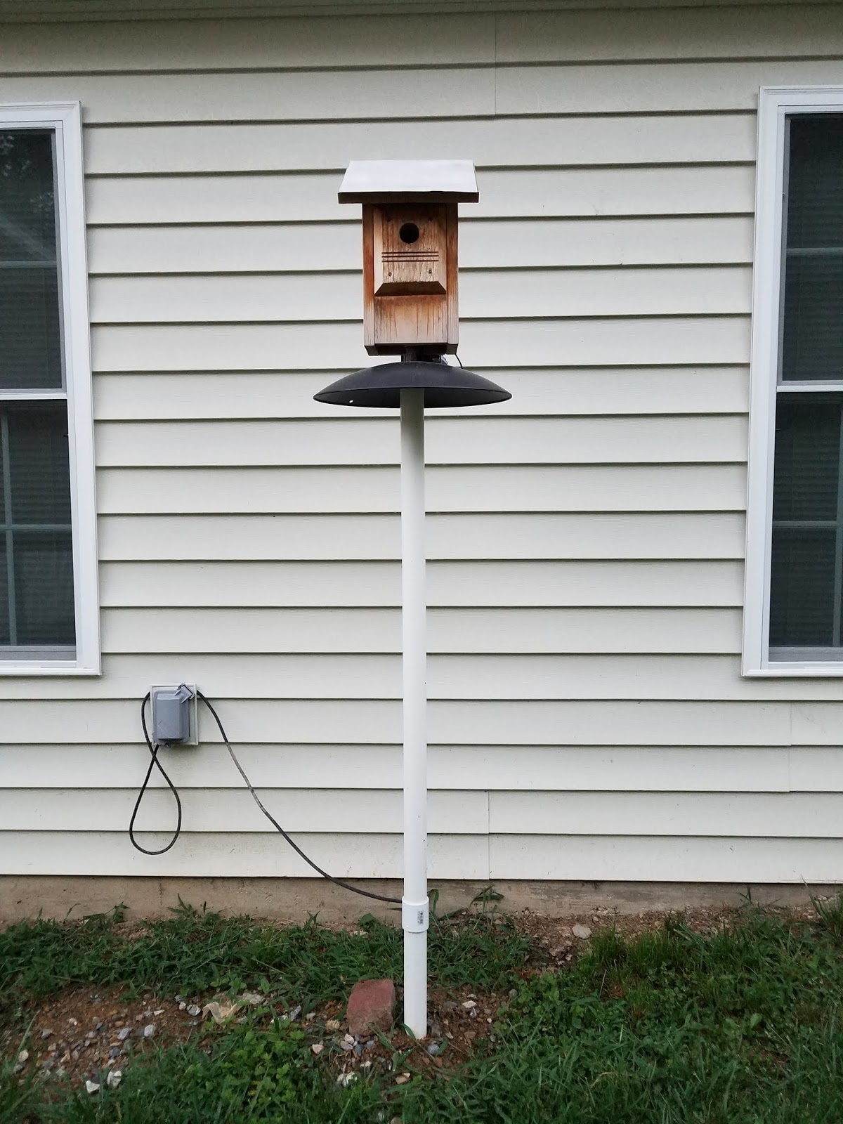 Mad Lab 5 Voyeur Bluebird House with a Raspberry Pi