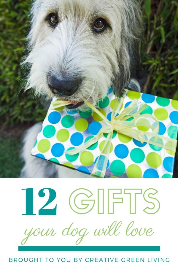 Best gift ideas for dogs! These dog gifts are great for your pets birthday or Christmas. Includes cute custom gift ideas like personalized toys. Some of these unique ideas are super cute and will surprise and delight your favorite pup.
