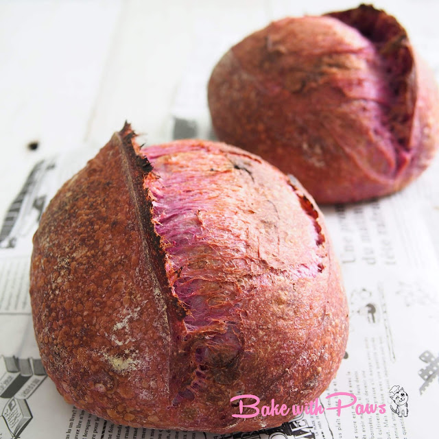 Purple Sweet Potato Open Crumb Sourdough Bread