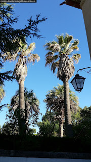 BUILDING / Edificio Korrodi (Poeta Francisco Lahmever Bugalho), Castelo de Vide, Portugal