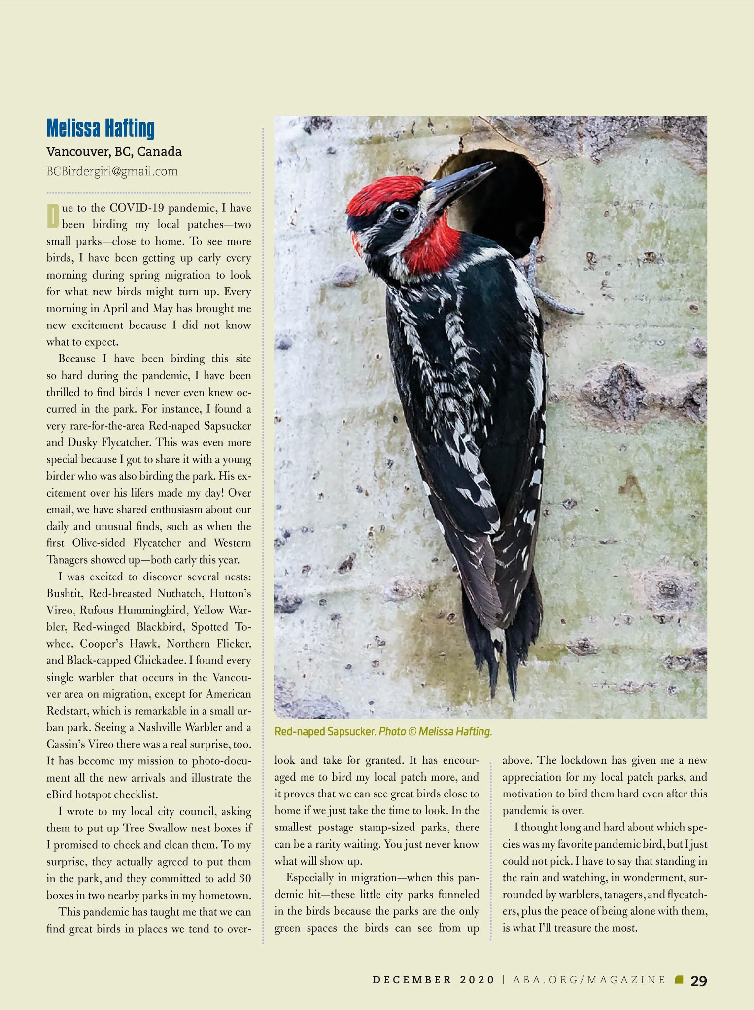 American Birding Association "Birding" Magazine Feature and Merry