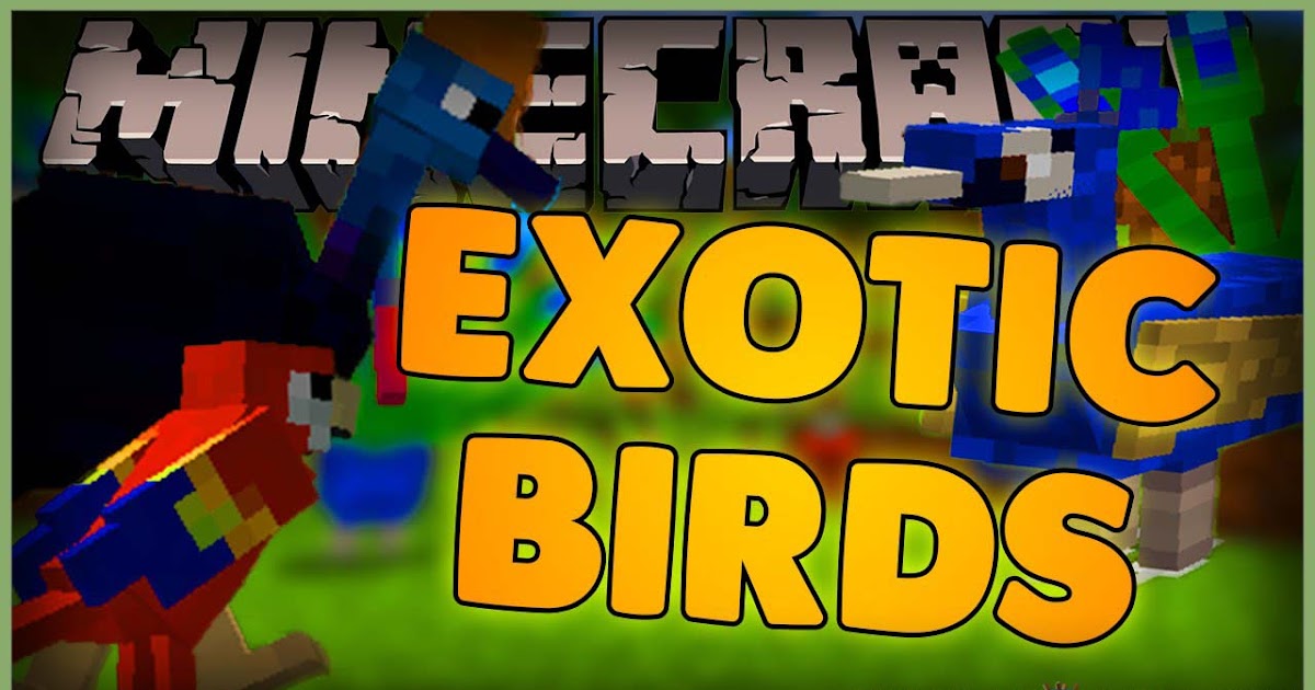New More Exotic Birds Mod 1.16.5 to 1.15.2 (Birds Take
