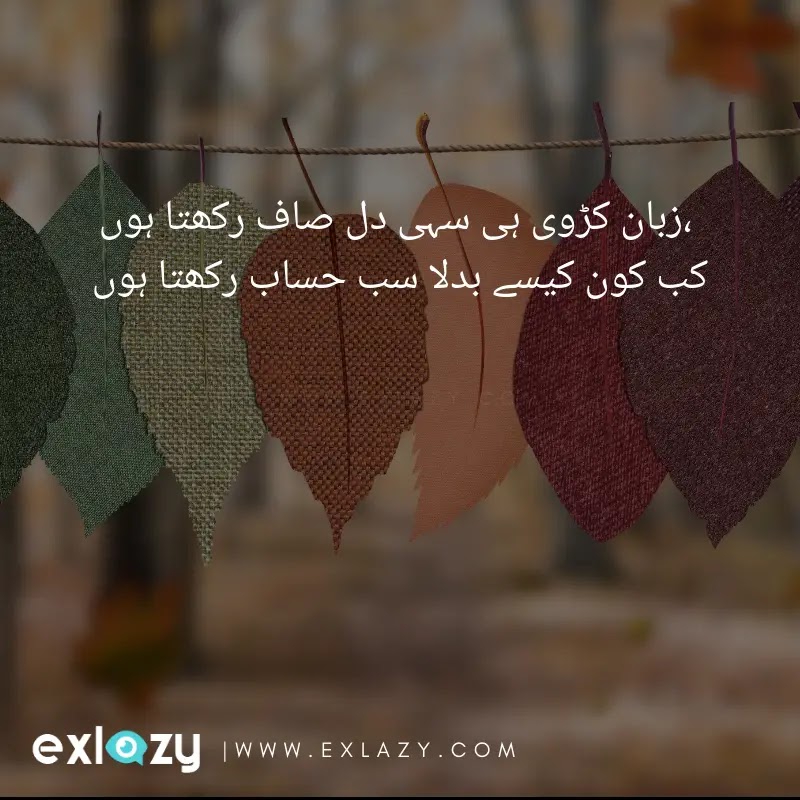 Featured image of post Whatsapp Status Sad Shayari Whatsapp Status Islamic Poetry In Urdu : Whatsapp dp images, sad dp for whatsapp profile in hindi, whatsapp photo, romantic dp for whatsapp, funny images for whatsapp dp, new dp pic, dp status.