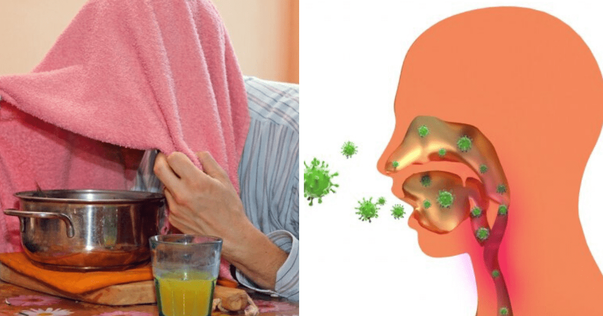 Quatre faits sur le rhume et la grippe Les principes de la vraie guérison