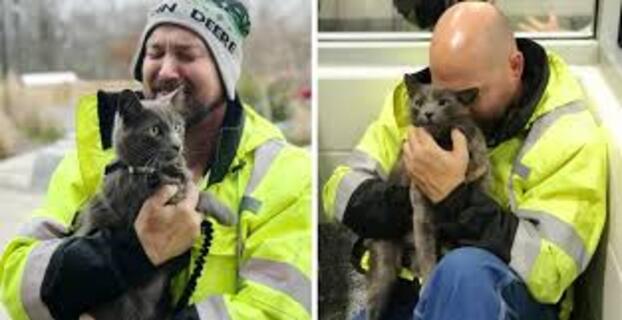Truck Drivers Cries As He Gets Reunited With His Cat He Lost For 5 Months