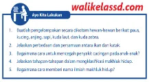 Kunci Jawaban Ipa Kelas 7 Halaman 88 Ayo Kita Lakukan Wali Kelas Sd